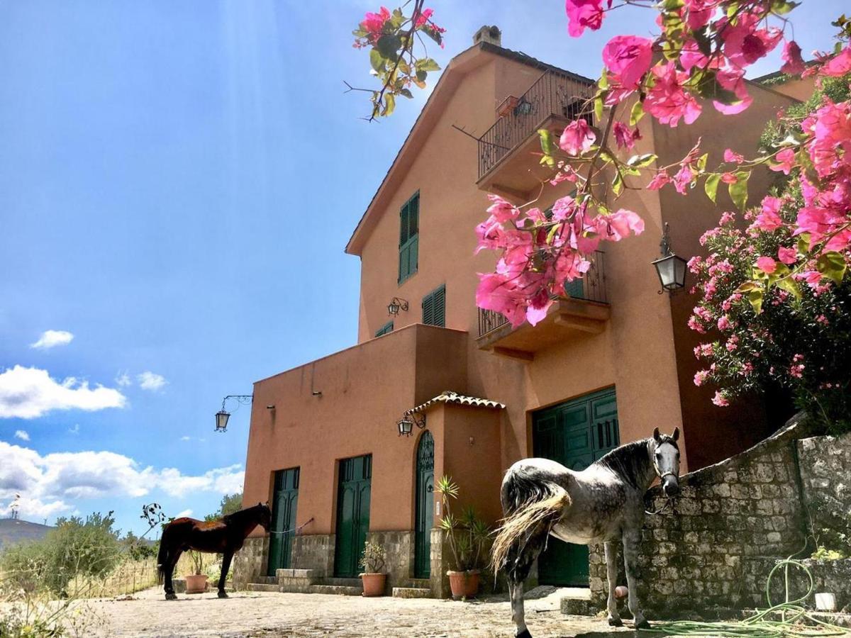 Country Sicily Home Фавара Экстерьер фото