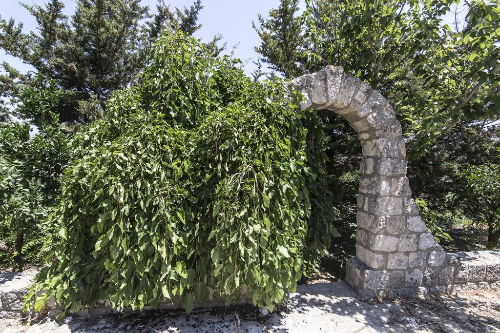 Country Sicily Home Фавара Экстерьер фото